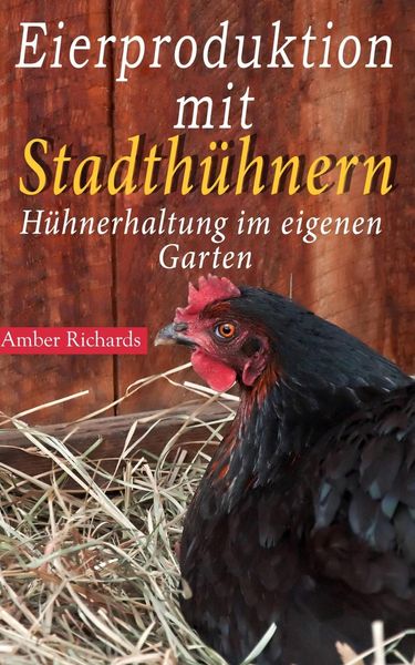 Produktbild: Eierproduktion mit Stadth&uuml;hnern