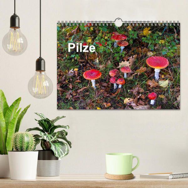 Produktbild: Pilze (Wandkalender 2026 DIN A4 quer), CALVENDO Monatskalender