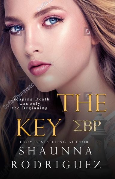 Produktbild: The Key (The Selection, #2)