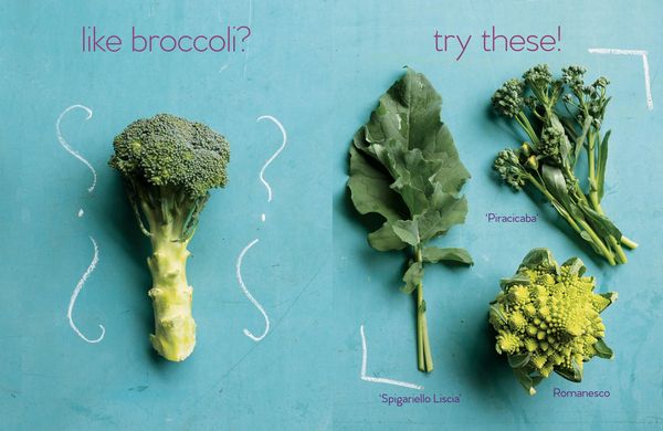 Produktbild: Niki Jabbour's Veggie Garden Remix