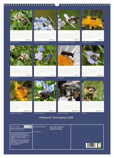 Produktbild: Wildbienen-Terminplaner 2026 (Wandkalender 2026 DIN A2 hoch), CALVENDO Monatskalender