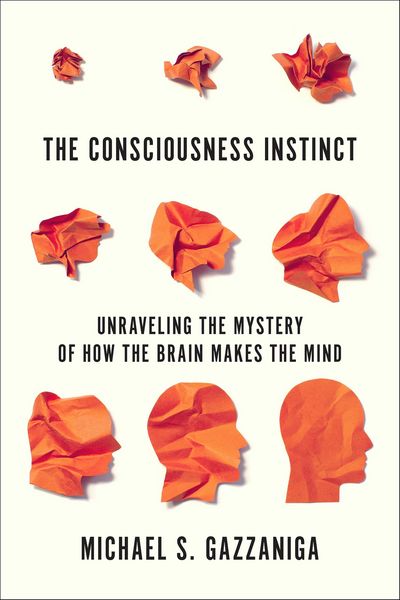 Produktbild: The Consciousness Instinct