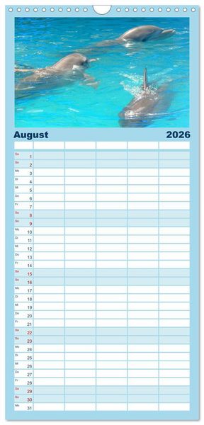 Produktbild: Familienplaner 2026 - Delfine - L&auml;chelnde Intelligenz mit 5 Spalten (Wandkalender, 21 x 45 cm) CALVENDO