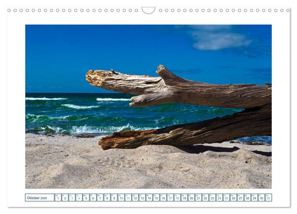 Produktbild: Der Weststrand am Dar&szlig; (Wandkalender 2026 DIN A3 quer), CALVENDO Monatskalender