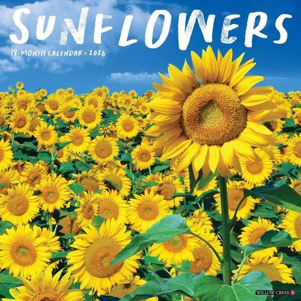 Produktbild: Sunflowers 2026 Wall Calendar