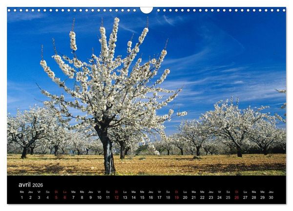 Produktbild: Paysages de Provence (Calendrier mural 2026 DIN A3 vertical), CALVENDO calendrier mensuel
