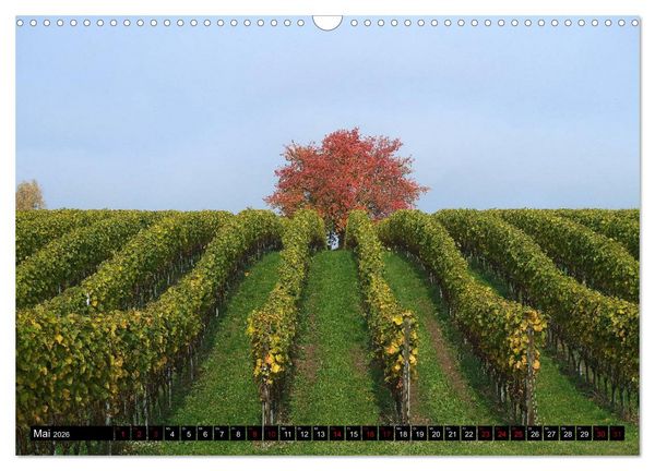 Produktbild: Sehenswerter Bodensee (Wandkalender 2026 DIN A3 quer), CALVENDO Monatskalender