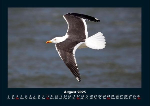 Produktbild: Vogelparadies 2025 Fotokalender DIN A4