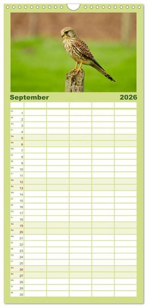 Produktbild: Familienplaner 2026 - Heimische V&ouml;gel mit 5 Spalten (Wandkalender, 21 x 45 cm) CALVENDO