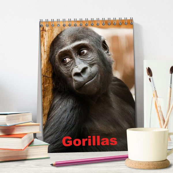 Produktbild: Gorillas (Tischkalender 2026 DIN A5 hoch), CALVENDO Monatskalender
