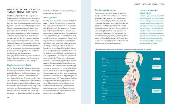 Produktbild: Das Vagus-Training