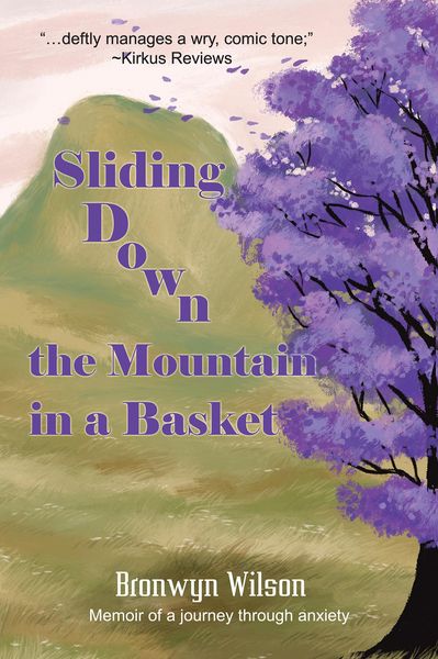 Produktbild: Sliding Down the Mountain in a Basket