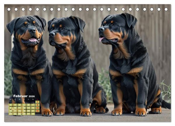 Produktbild: Majest&auml;tische Rottweiler: Ein Jahr voller Kraft und Loyalit&auml;t (Tischkalender 2026 DIN A5 quer), CALVENDO Monatskalender