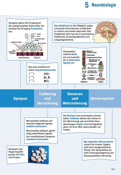 Produktbild: Klett Sicher im Abi Oberstufen-Wissen Biologie