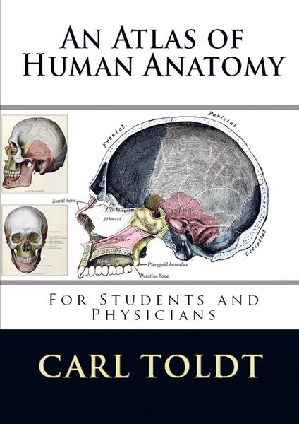 Produktbild: Carl Toldt: Atlas of Human Anatomy