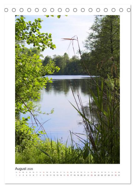 Produktbild: Impressionen aus unserem Wald (Tischkalender 2026 DIN A5 hoch), CALVENDO Monatskalender