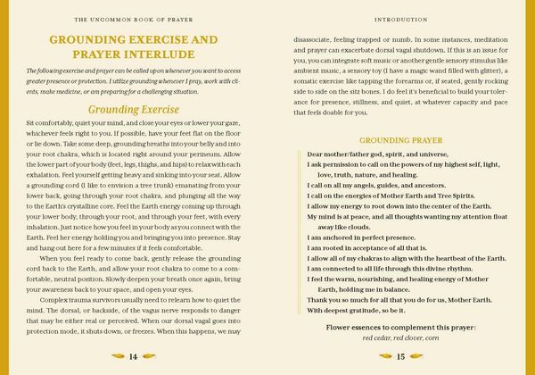 Produktbild: The Uncommon Book of Prayer