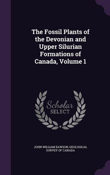 Produktbild: Fossil Plants Of The Devonian