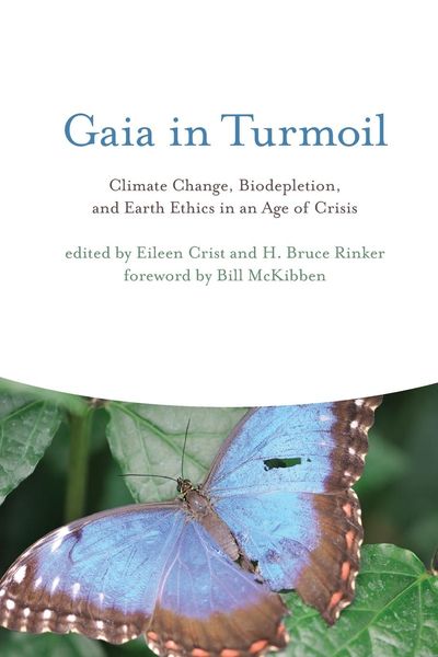 Produktbild: Gaia in Turmoil