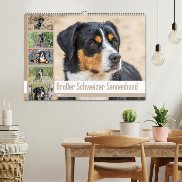 Produktbild: Gro&szlig;er Schweizer Sennenhund (Wandkalender 2026 DIN A2 quer), CALVENDO Monatskalender