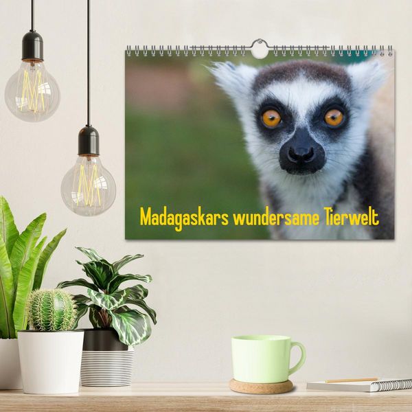 Produktbild: Madagaskars wundersame Tierwelt (Wandkalender 2026 DIN A4 quer), CALVENDO Monatskalender