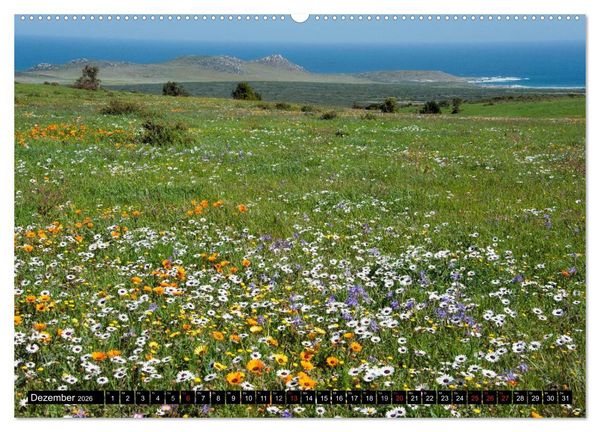 Produktbild: S&uuml;dafrika (Wandkalender 2026 DIN A2 quer), CALVENDO Monatskalender