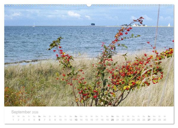 Produktbild: Zauberhafte Schlei (hochwertiger Premium Wandkalender 2026 DIN A2 quer), Kunstdruck in Hochglanz