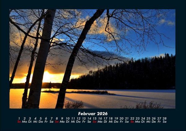 Produktbild: B&auml;ume 2026 Fotokalender DIN A4