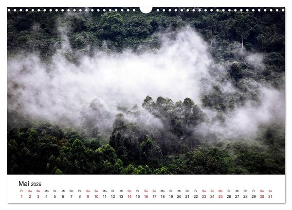 Produktbild: UGANDA - Berggorillas & Chimps (Wandkalender 2026 DIN A3 quer), CALVENDO Monatskalender