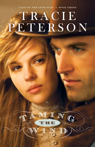 Produktbild: Taming the Wind