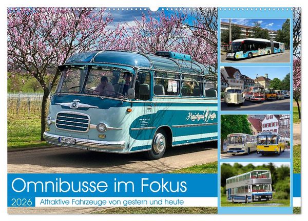 Produktbild: Omnibusse im Fokus (Wandkalender 2026 DIN A2 quer), CALVENDO Monatskalender