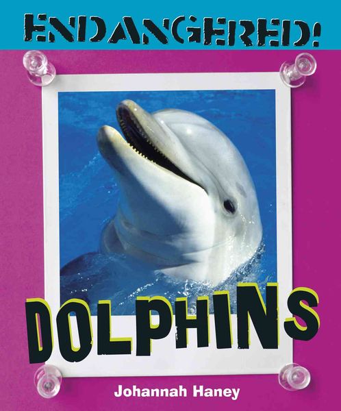 Produktbild: Dolphins