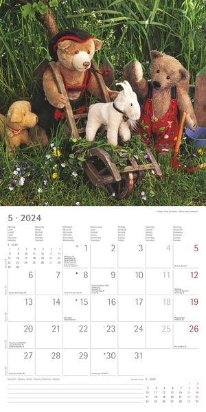  Teddy 2022 - Broschürenkalender 30x30 cm (30x60 geöffnet) -  Kalender mit Platz für Notizen - Bildkalender - Wandplaner - mit  herausnehmbarem Poster : Everything Else