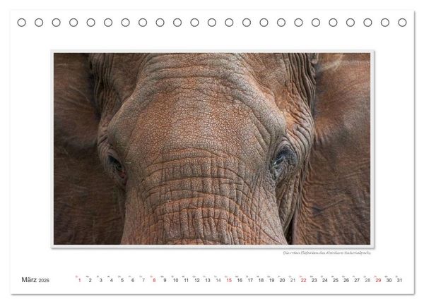 Produktbild: Emotionale Momente: Aus dem Leben der Elefanten. / CH-Version (Tischkalender 2026 DIN A5 quer), CALVENDO Monatskalender