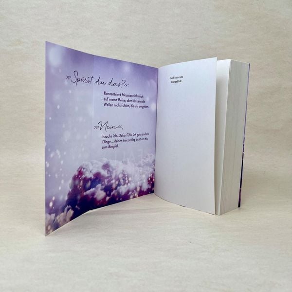 Produktbild: Rise and Fall