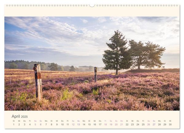 Mehlinger Heide (Wandkalender 2025 DIN A2 quer), CALVENDO Monatskalender