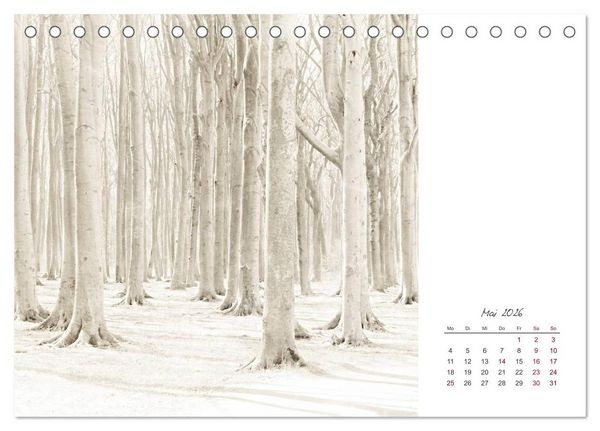 Produktbild: Kalenderspr&uuml;che (Tischkalender 2026 DIN A5 quer), CALVENDO Monatskalender