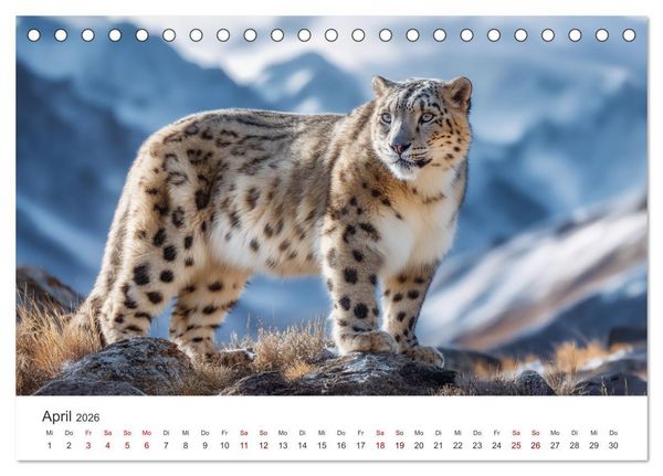 Produktbild: Geist des Gebirges - Ein Jahr in der wilden Welt der Schneeleoparden (Tischkalender 2026 DIN A5 quer), CALVENDO Monatskalender