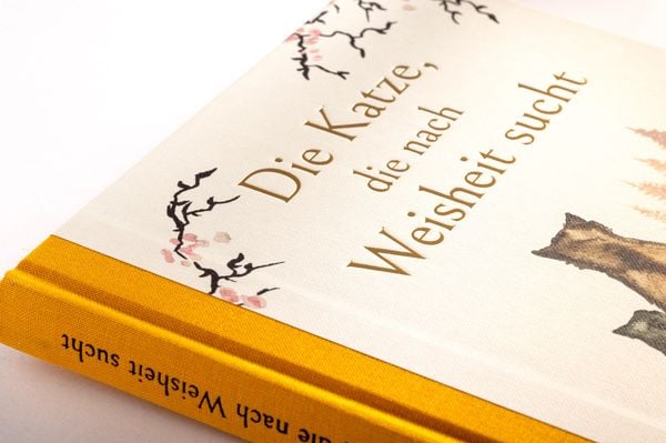 Produktbild: Die Katze, die nach Weisheit sucht