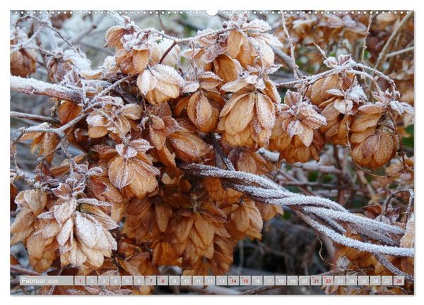Produktbild: Natur, die bezaubert (Wandkalender 2026 DIN A2 quer), CALVENDO Monatskalender