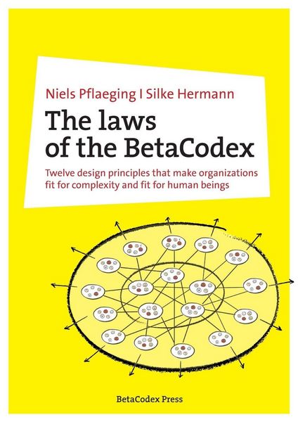 Produktbild: The laws of the BetaCodex