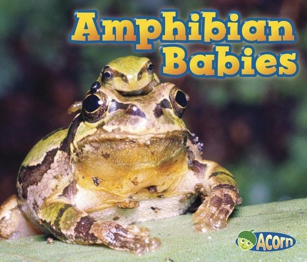 Produktbild: Amphibian Babies