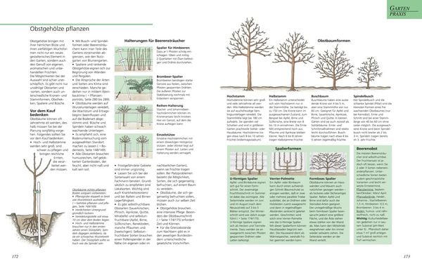 Produktbild: Das gro&szlig;e GU Gartenbuch