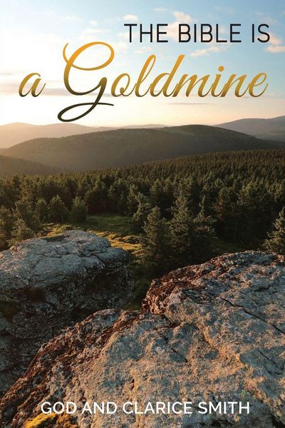 Produktbild: The Bible is a Goldmine