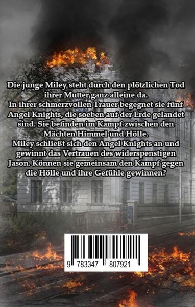 Produktbild: Angel Knights
