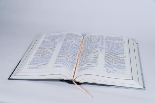 Produktbild: Elberfelder Bibel mit Erklärungen