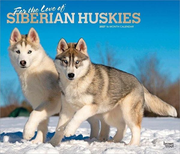 Produktbild: For the Love of Siberian Huskies 2027 14 X 24 Inch (Hanging) Monthly Deluxe Wall Calendar Foil Stamped Cover Plastic-Free