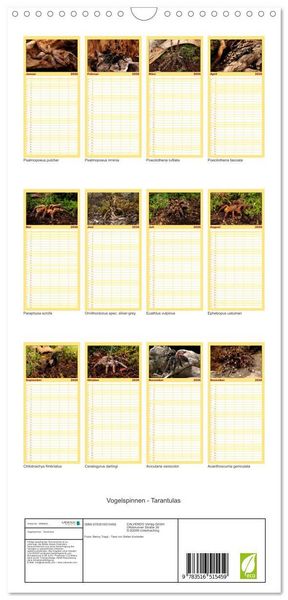 Produktbild: Familienplaner 2026 - Vogelspinnen - Tarantulas mit 5 Spalten (Wandkalender, 21 x 45 cm) CALVENDO