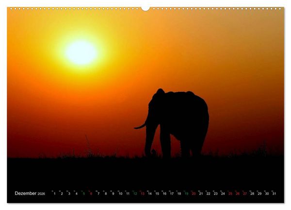 Produktbild: Afrika - im Reich der Elefanten (hochwertiger Premium Wandkalender 2026 DIN A2 quer), Kunstdruck in Hochglanz