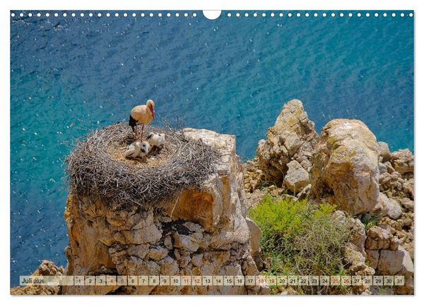 Produktbild: Fischerweg Portugal (Wandkalender 2026 DIN A3 quer), CALVENDO Monatskalender